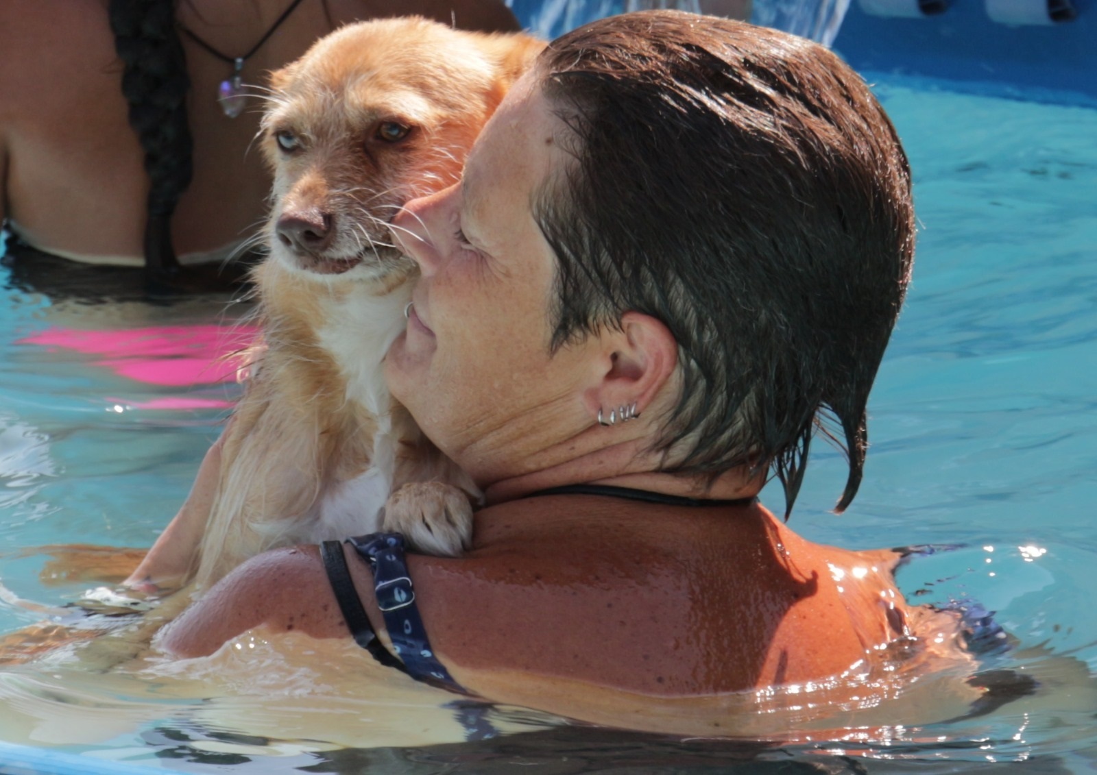 Piscina per cani